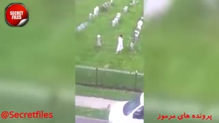 5 حادثه ترسناک از حضور ارواح که کارشناسان تایید کردند! (مستند کوتاه ترسناک) شامل توضیحات