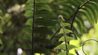 معرفی و مزایای  آموزش آنلاین پریسما