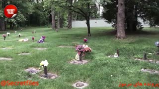 5 قتل وحشتناک در شب کریسمس که هرگز حل نشدند! (مستند کوتاه جنایی) شامل توضیحات