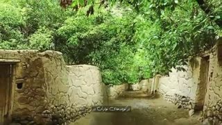 دکلمه شعر غزل 3 (ای تکیه گاه و پناه) | اخوان ثالث | استاد محمدعلی حسینیان |