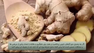 خوردن زنجبیل برای چه کسانی ممنوع است
