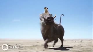 دوبله لری  ،یه دوبله بسیار جالب