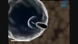 کلیپهای علمی دانش بانک