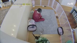 ووسوک بین دوتا گربه دیوونه