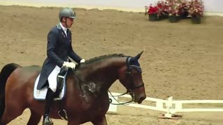 FEI Dressage World Cup 2019