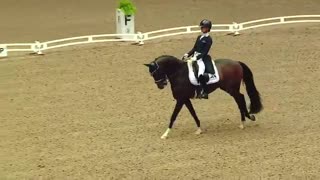 FEI Dressage World Cup 2019