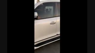 نیوفیس لندکروز