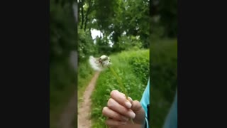 یک روز بهاری در آلمان