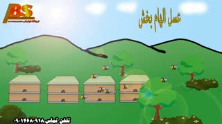 عسل صد رصد طبیعی ترنجبین