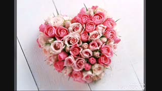 اهالی نما پارتی بزرگ در راه است ...