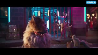 تریلر فیلم Cats با زیرنویس فارسی