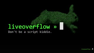 LiveOverflow Channel Introduction and Backstory - bin 0x00