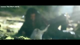 the wolf teaser