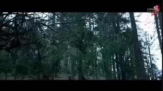 the wolf teaser 2