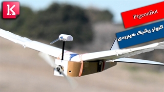 ساخت کبوتر رباتیک با «پر» واقعی توسط محققان استنفورد