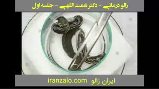 پارت 3 - آموزش زالو درمانی