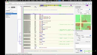 Simple Tools and Techniques for Reversing a binary - bin 0x06
