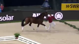 FEI Dressage World Cup 2019