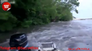 5 لحظه تکان دهنده و عجیب هنگام ماهیگیری [قسمت 2] (مستند کوتاه حیات وحش) شامل توضیحات