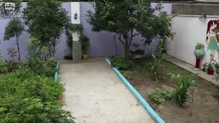 خرید ویلای خوش نقشه در غازیان بندرانزلی