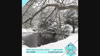 بهترین روزهای زندگی شما در راهند | دکتر طیبی