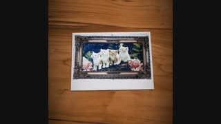 تابلو فرش حمید