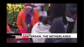 ۲۰۰ هزار شاخه گل لاله میدان معروف آمستردام