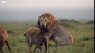 کمک به برادر