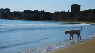 اقامت اروپا بدون شرایط حضور مستمر در سال 2019، قسمت 15