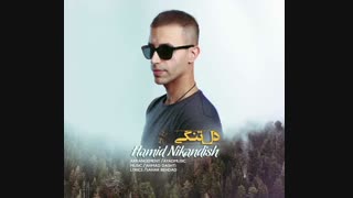 آهنگ جدید | آهنگ زیبا | حمید نیک اندیش به نام دلتنگی