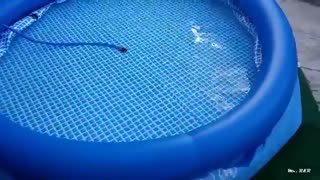 استخر بادی ایزی ست