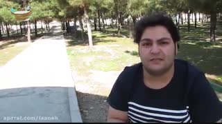 نگهداری ماهی در بطری کوچک