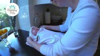 شکوفه حمام نوزاد تک سبد