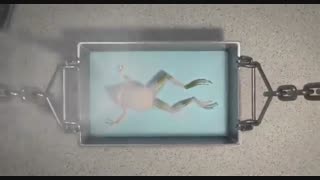 انیمیشن خانواده آدامز The Addams Family 2019 دوبله فارسی (کانال تلگرام ما Film_zip@)