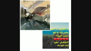 محبت به همه