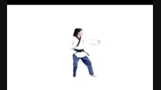 آموزش فرم سه تکواندو قدم به قدم همراه با اسامی( وبلاگ تکواندو استاد جلیل قلندری)