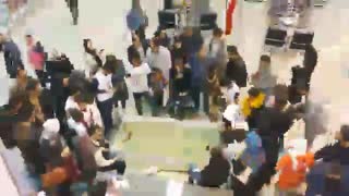 آشنایی با خانواده بزرگ رایمندکیت