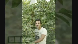 خرید و فروش ارقام نهال میوه پیوندی مرغوب ۰۹۱۴۱۸۱۱۵۲۰