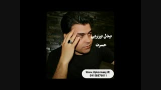 دانلود آهنگ کرمانجی جدید بیدل برزویی به نام حسرت