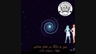 یین و یانگ در فنگ شویی