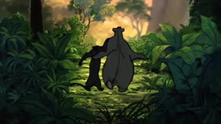 The Bear Necessities