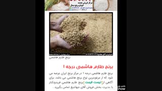 قیمت برنج طارم هاشمی در ایران