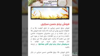 خرید برنج حسن سرایی بصورت عمده