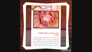 برنج دم سیاه دودی در بازار