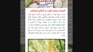 برنج خوب شمال را چگونه طبخ کنیم