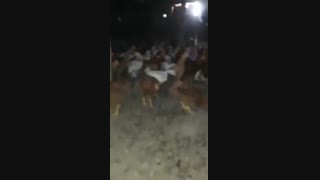 فروش مرغ بومی گلپایگان اصل و درجه یک09123968671