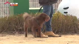 قسمت شصت و دوم  برنامه کره ای استاددر خانه+زیرنویس آنلاین Master In The House با حضور لی سونگی و یوک سونگ جه عضو BTOB