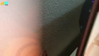 تلویزیون 4K فیلیپس مدل OLED854