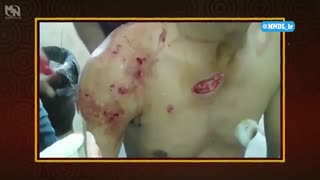 72 جانور خطرناک آسیا - قسمت 7