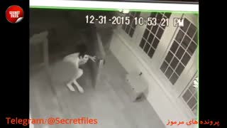 5 تهدید واقعی ترسناک توسط افراد ناشناس! (مستند کوتاه) زیرنویس+توضیحات